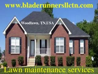 Lawn Care, Maintenance, Tree Removal, Spring Clean and Lands
