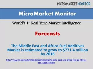 The Middle East and Africa Fuel Additives Market