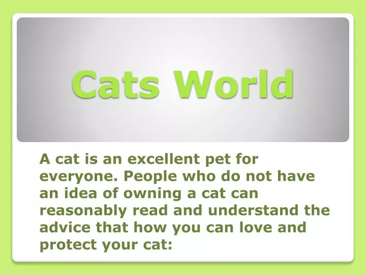 cats world