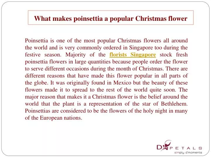 what makes poinsettia a popular christmas flower