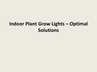 Indoor Plant Grow Lights – Optimal Solutions