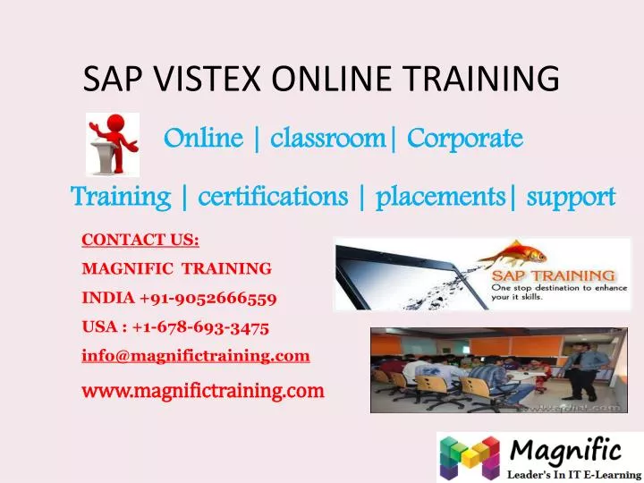 sap vistex online training