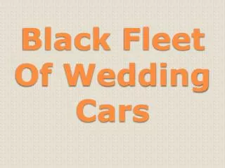 Black Fleet Of Wedding Cars