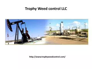 Oil field weed control Texas