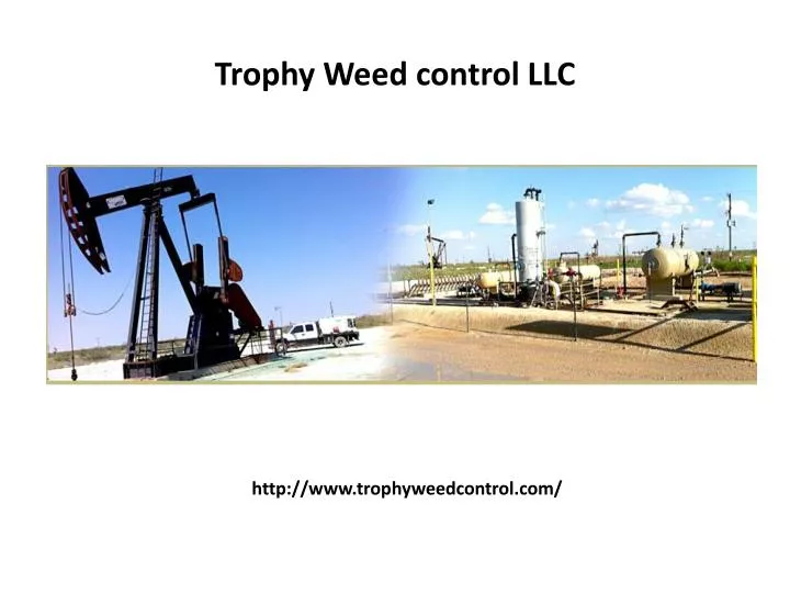 trophy weed control llc