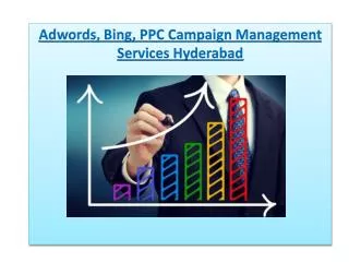 Adwords, Bing, PPC Campaign Management Services Hyderabad