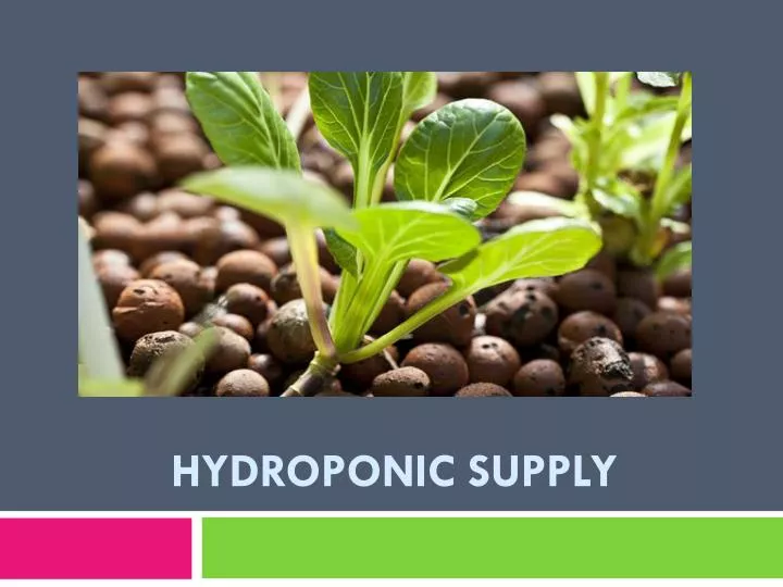 hydroponic supply