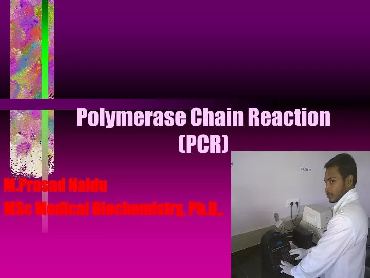 polymerase chain reaction pcr