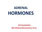 ADRENAL HORMONES - slide 1