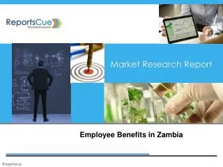 Zambian Employee Benefits - Reports Cue