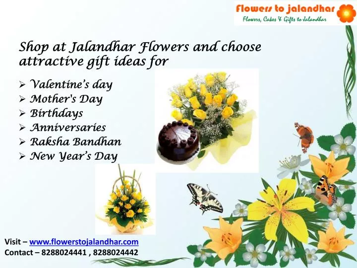 shop at jalandhar flowers and choose attractive gift ideas for