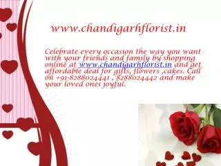 Flowers to Chandigarh
