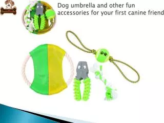 Dog umbrella and other fun accessories for your first canine