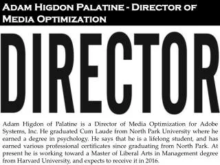 Adam Higdon Palatine - Director of Media Optimization