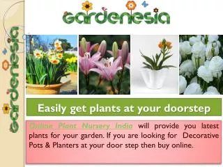Garden Plants and Products Buy Easily at Gardenesia