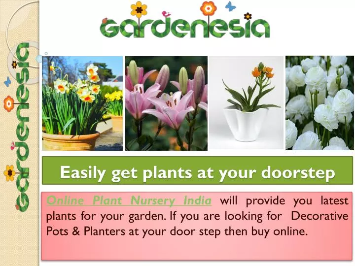 easily get plants at your doorstep
