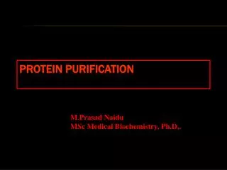 PROTEINS PURIFICATION
