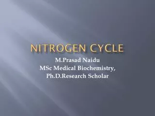 NITROGEN CYCLE
