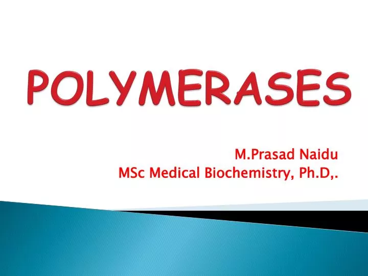 polymerases