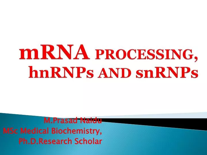 mrna processing hnrnps and snrnps