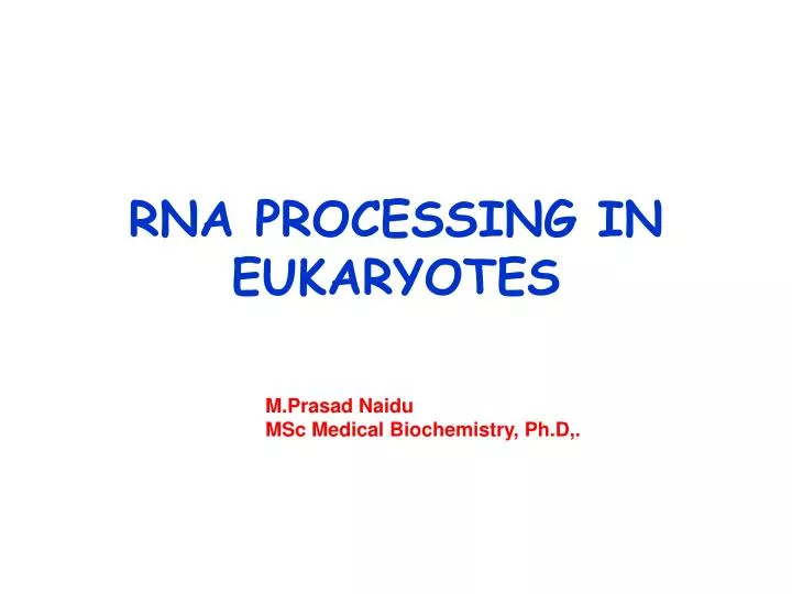 rna processing in eukaryotes