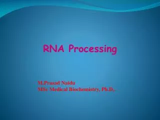 RNA PROCESSING EUKARYOTES