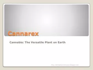 Cannabis: The Versatile Plant on Earth
