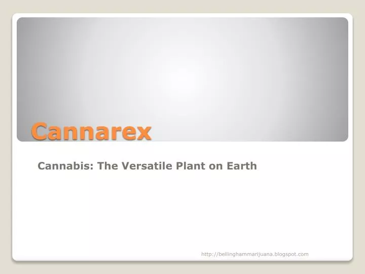 cannarex