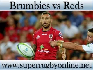 watch Brumbies vs Reds live Super rugby match