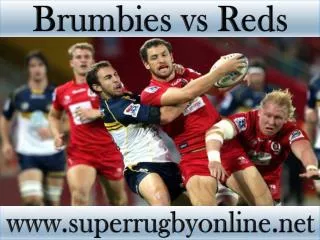 how to watch Brumbies vs Reds live Super rugby