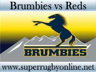 watch Brumbies vs Reds live Super rugby