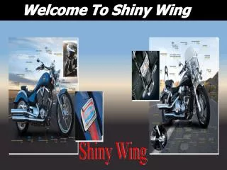 Welcome to Shiny Wing