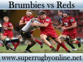 watch Super rugby Brumbies vs Reds live stream