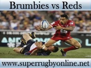 watch Brumbies vs Reds online Super rugby 2015