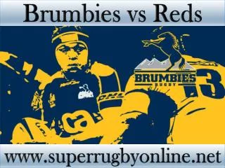 how to watch Brumbies vs Reds online match on mac