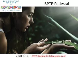 BPTP Pedestal - Call 09891856789 Sector 70A, Gurgaon