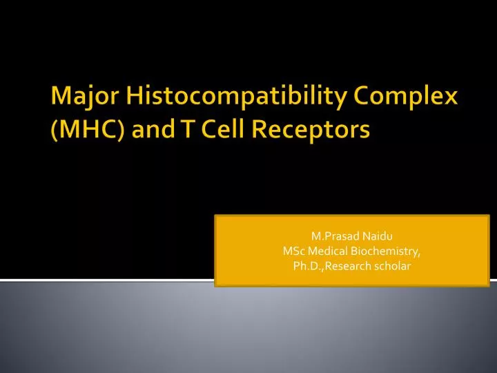 major histocompatibility complex mhc and t cell receptors
