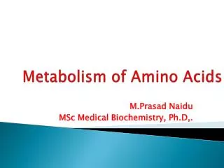 AMINO ACID METABOLISM