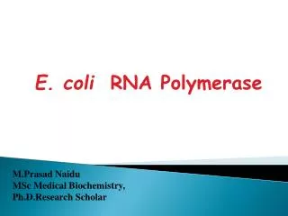 ECOLI RNA POLYMERASE