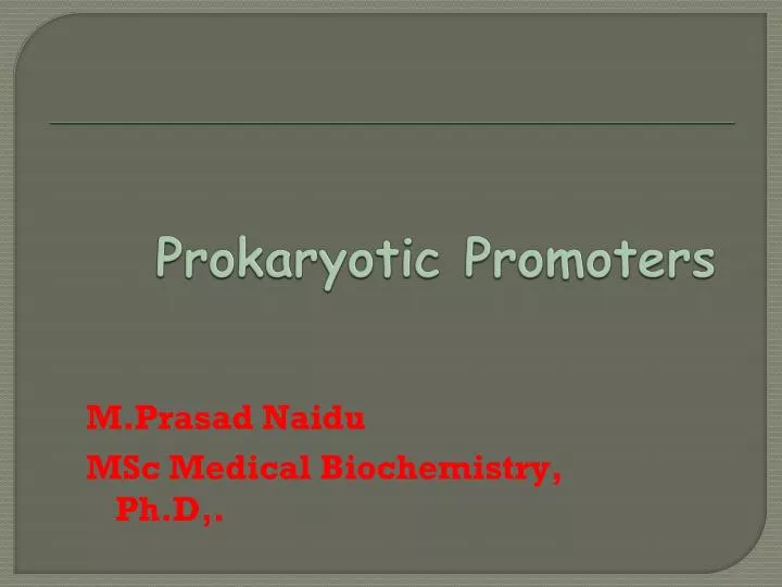 prokaryotic promoters