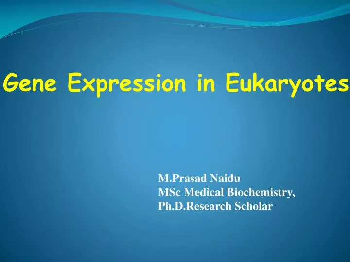 gene expression in eukaryotes