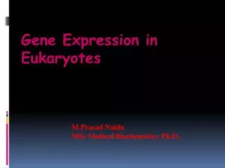 EUKARYOTIC TRANSCRIPTION