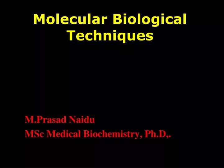 molecular biological techniques