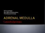 ADRENAL MEDULLA