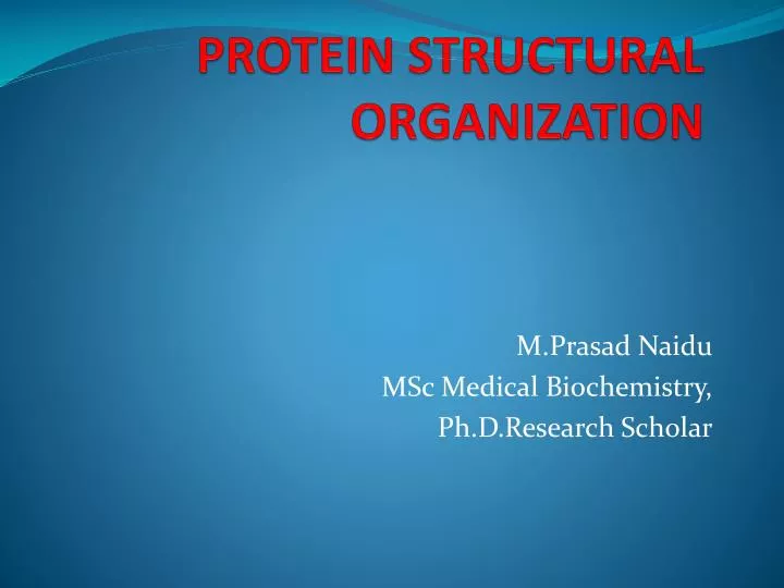 protein structural organization