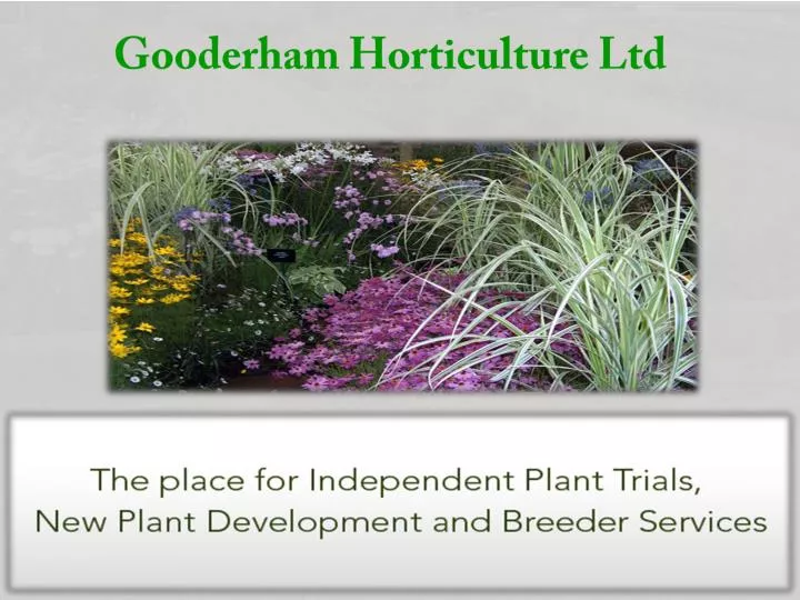 gooderham horticulture ltd