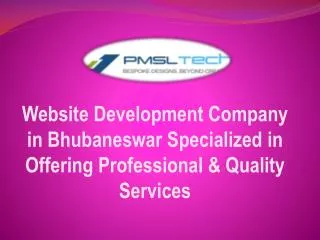 Specialized Website Development Company in Bhubaneswar
