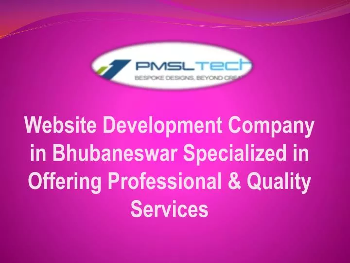 website development company in bhubaneswar specialized in offering professional quality services