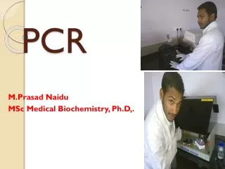 PCR