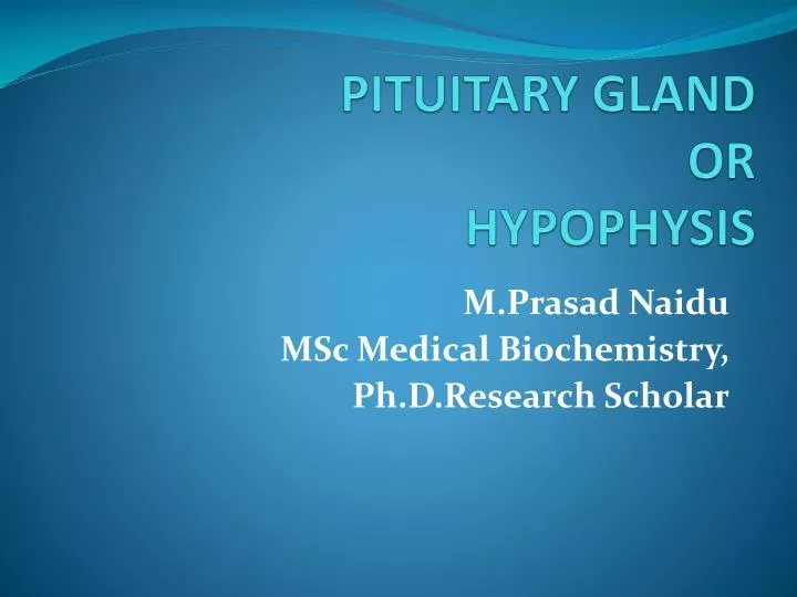 pituitary gland or hypophysis